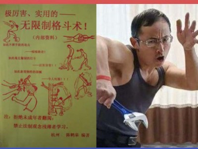 陈鹤皋-无限制格斗实战训练视频